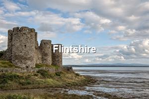 Flintshire