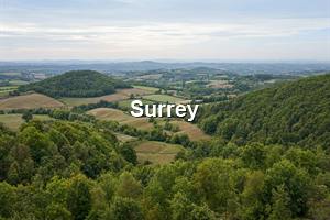 Surrey